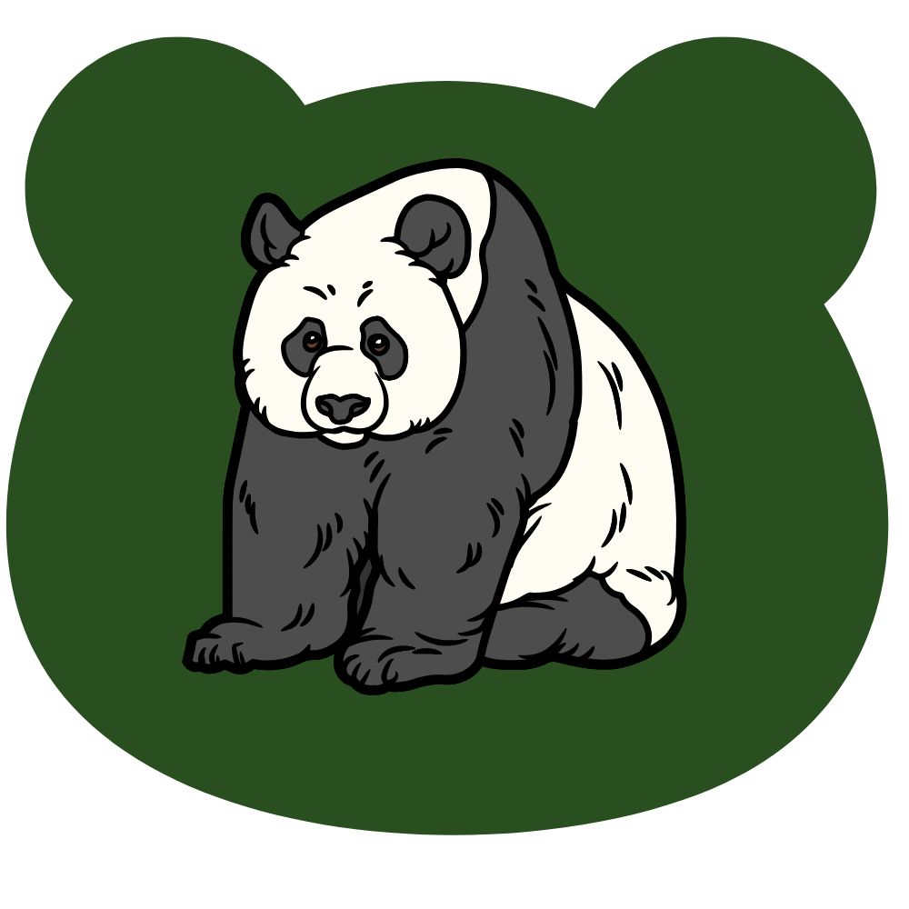 Track Progress and Stay Consistent